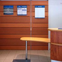 Cegły akustyczne Terreal – zdjęcie 3